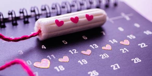 ciclo menstrual ciclo menstrual